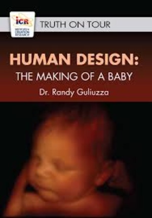 Human Design: The Making of a Baby